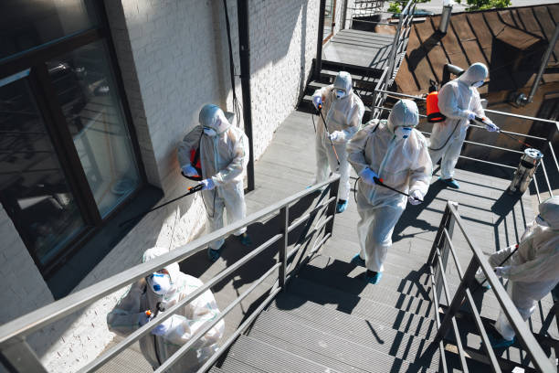 Best Mold Remediation for Rental Properties  in Redby, MN