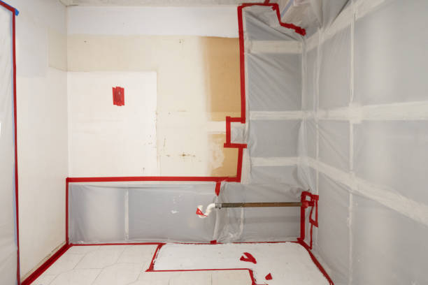  Redby, MN Mold Removal Pros