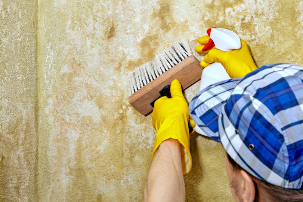 Best Industrial Mold Remediation  in Redby, MN