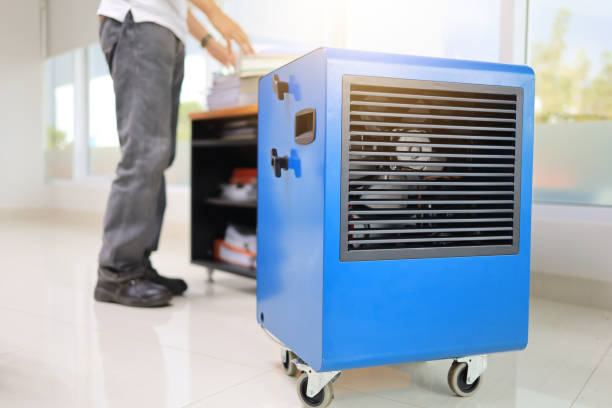 Best HVAC Mold Inspection and Cleaning  in Redby, MN
