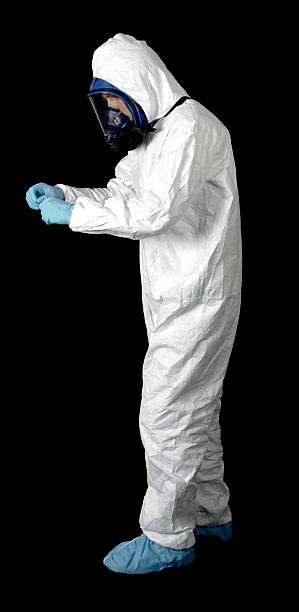 Best Black Mold Removal  in Redby, MN