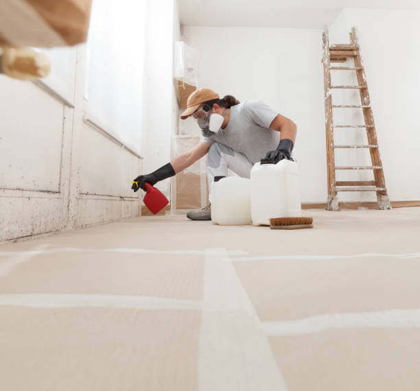 Best Mold Prevention Services  in Redby, MN